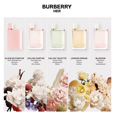 burberry her eau de parfum preisvergleich|burberry her perfume best price.